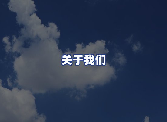 专业团队